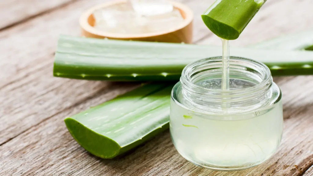 Remove bitterness from aloe vera using fresh aloe vera leaf filleted open with gel exposed, ready to prep for healing recipes