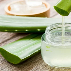 Remove bitterness from aloe vera using fresh aloe vera leaf filleted open with gel exposed, ready to prep for healing recipes