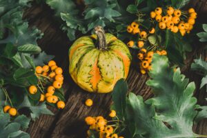Maple Roasted Acorn Squash