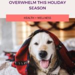 7 Ways To Reduce Overwhelm This Holiday Season