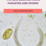 The Confusion Between Parasites And Worms