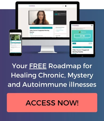 Free Roadmap for Healing Chronic Illness Image