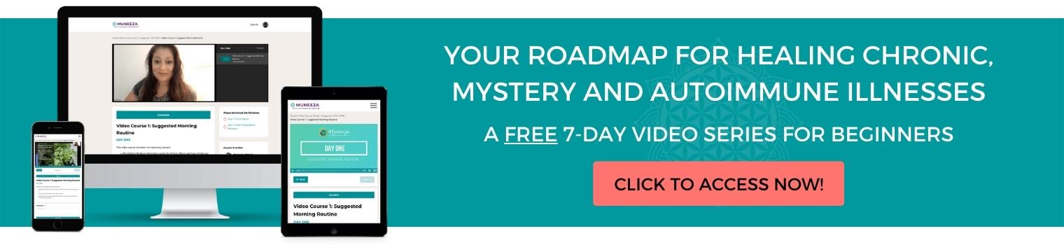 Your Roadmap For Healing Chronic Mystery And Autoimmune Illnesses