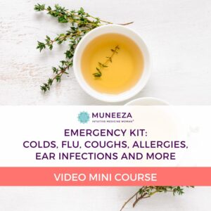 Emergency Kit: Cold, Flu, Coughs, Allergies, Ear Infections and more