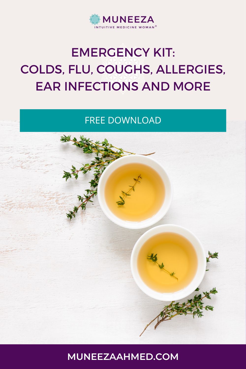 Emergency Kit Colds, Flu, Coughs, Allergies, Ear Infections And More