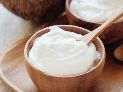 Homemade coconut yogurt discount