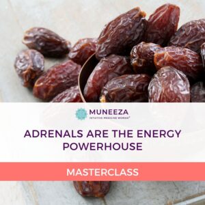 Adrenals Are The Energy Powerhouse