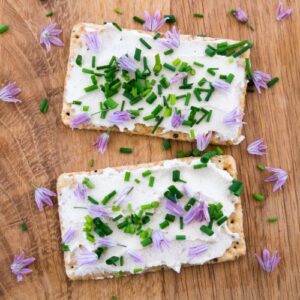 Herbed Macadamia Nut Cheese