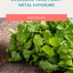 Overcome Toxic Heavy Metal Exposure