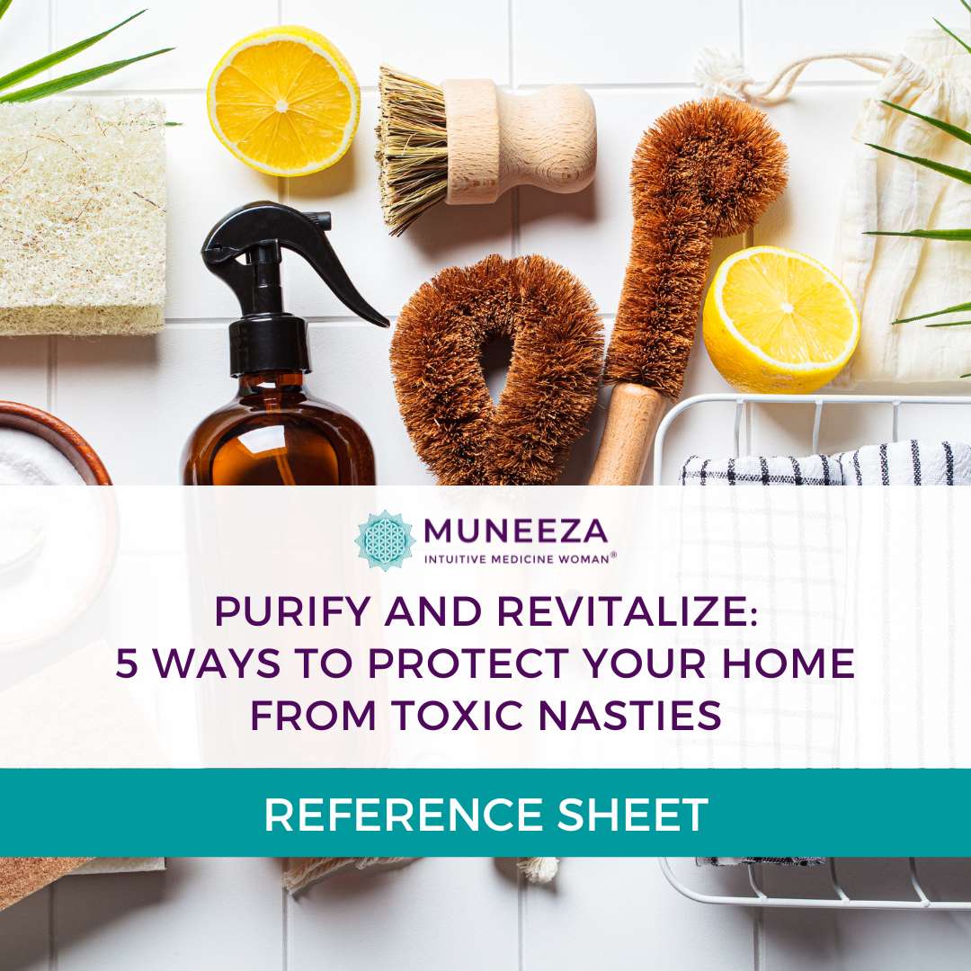 Purify and Revitalize: 5 Ways To Protect Your Home From Toxic Nasties