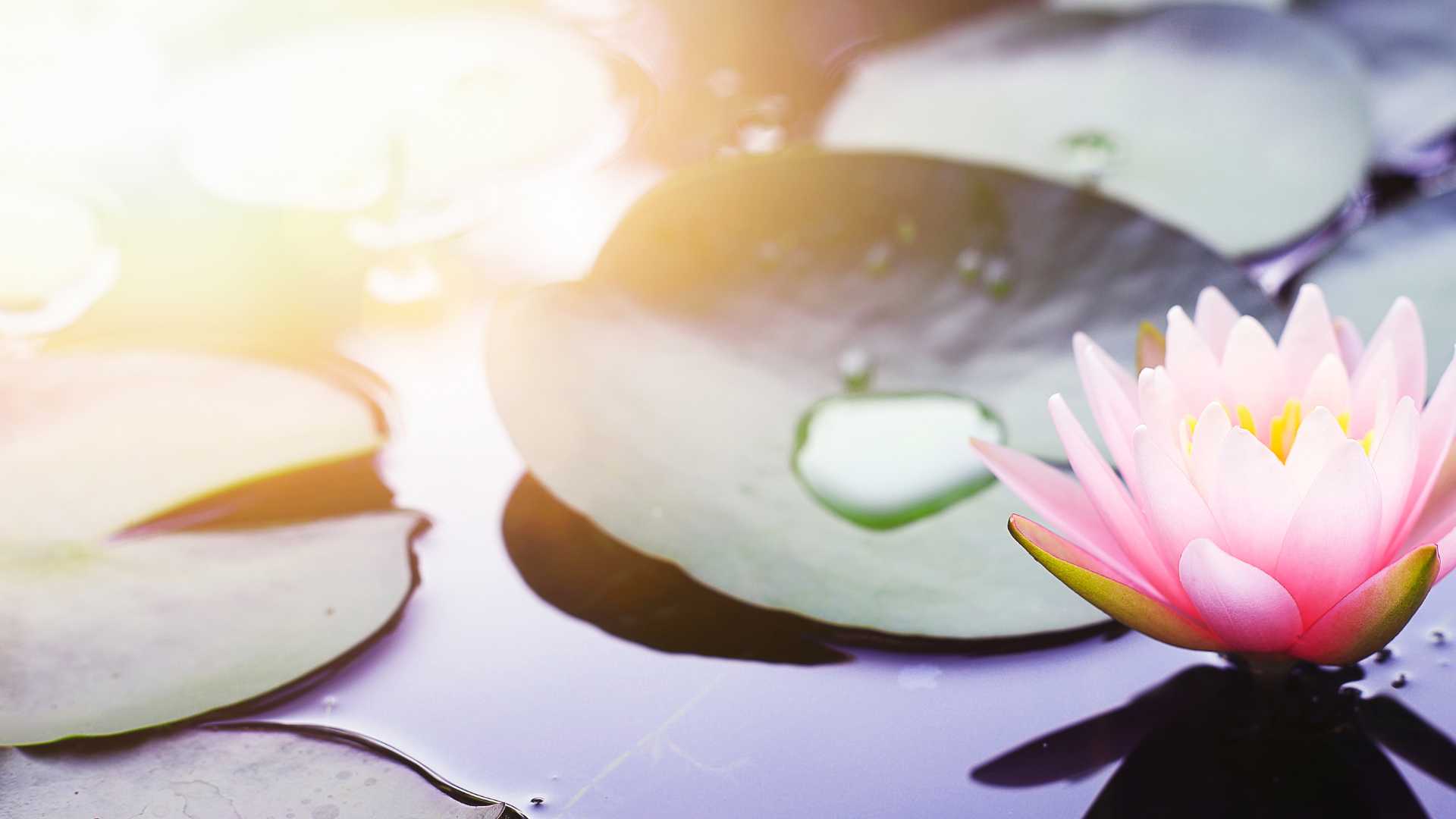 Free Virtual Prayer Circle