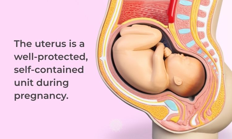 Pregnancy Myths - the baby is well protected