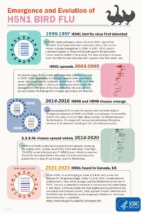CDC Bird Flu History Graphic