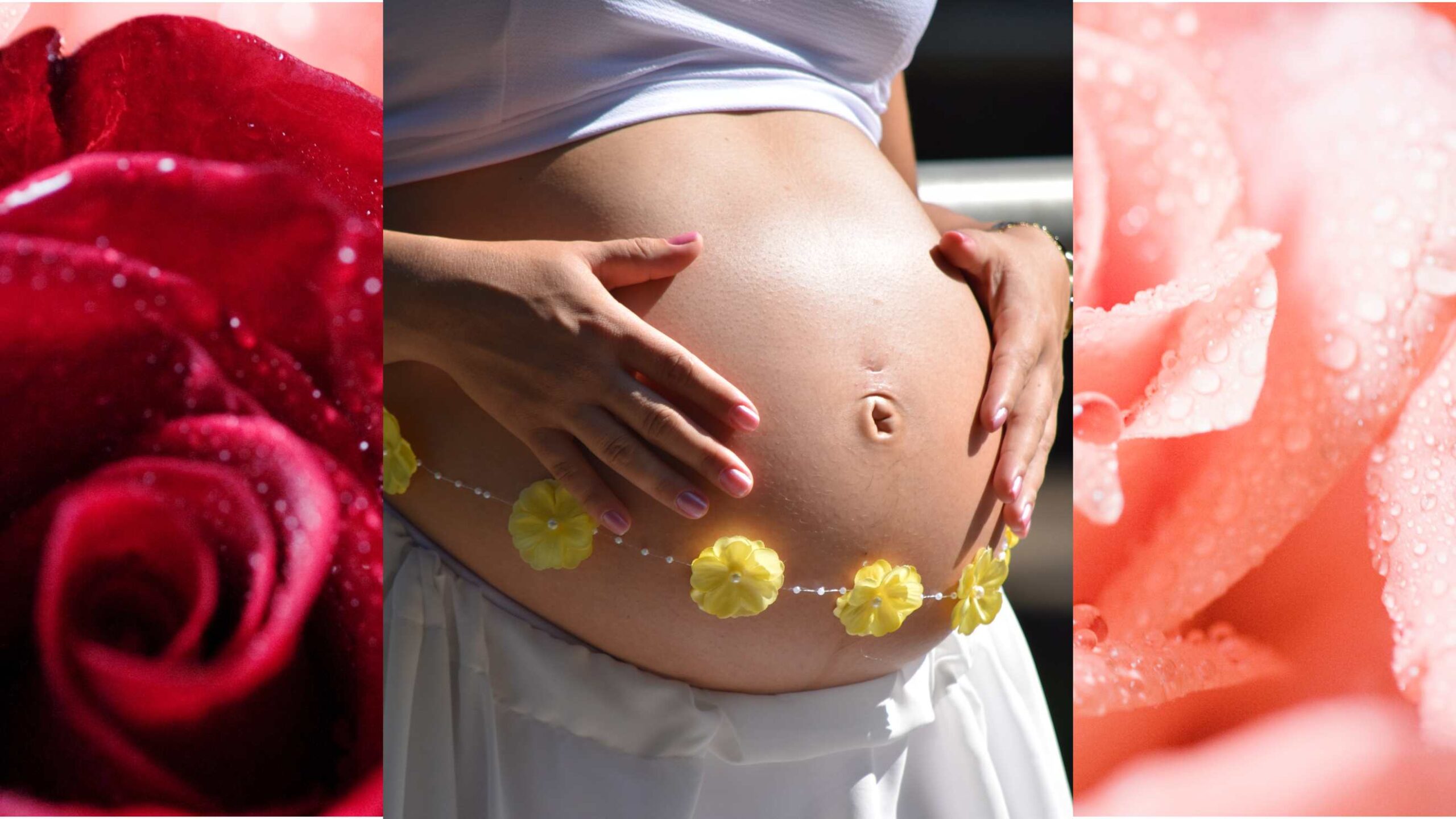 15 Healthy Recipes for Pregnancy Nutrition featured image