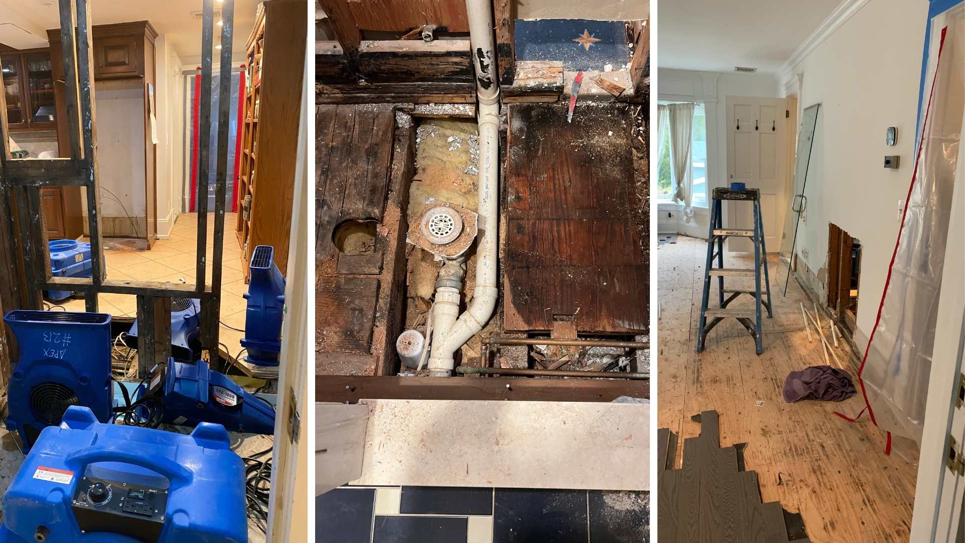 Mold Remediation Wisdom Gained and Expert Advice