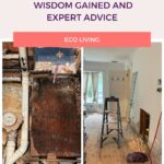 Mold Remediation: Wisdom Gained and Expert Advice pinterest pin-2