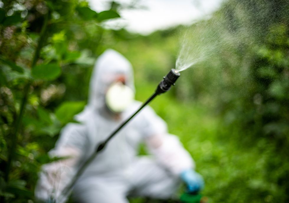 Unforgiving Four vs. Holy Four