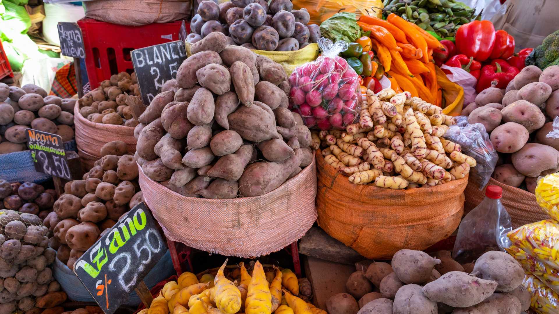 My daughter travels to peru medical medium style feature image