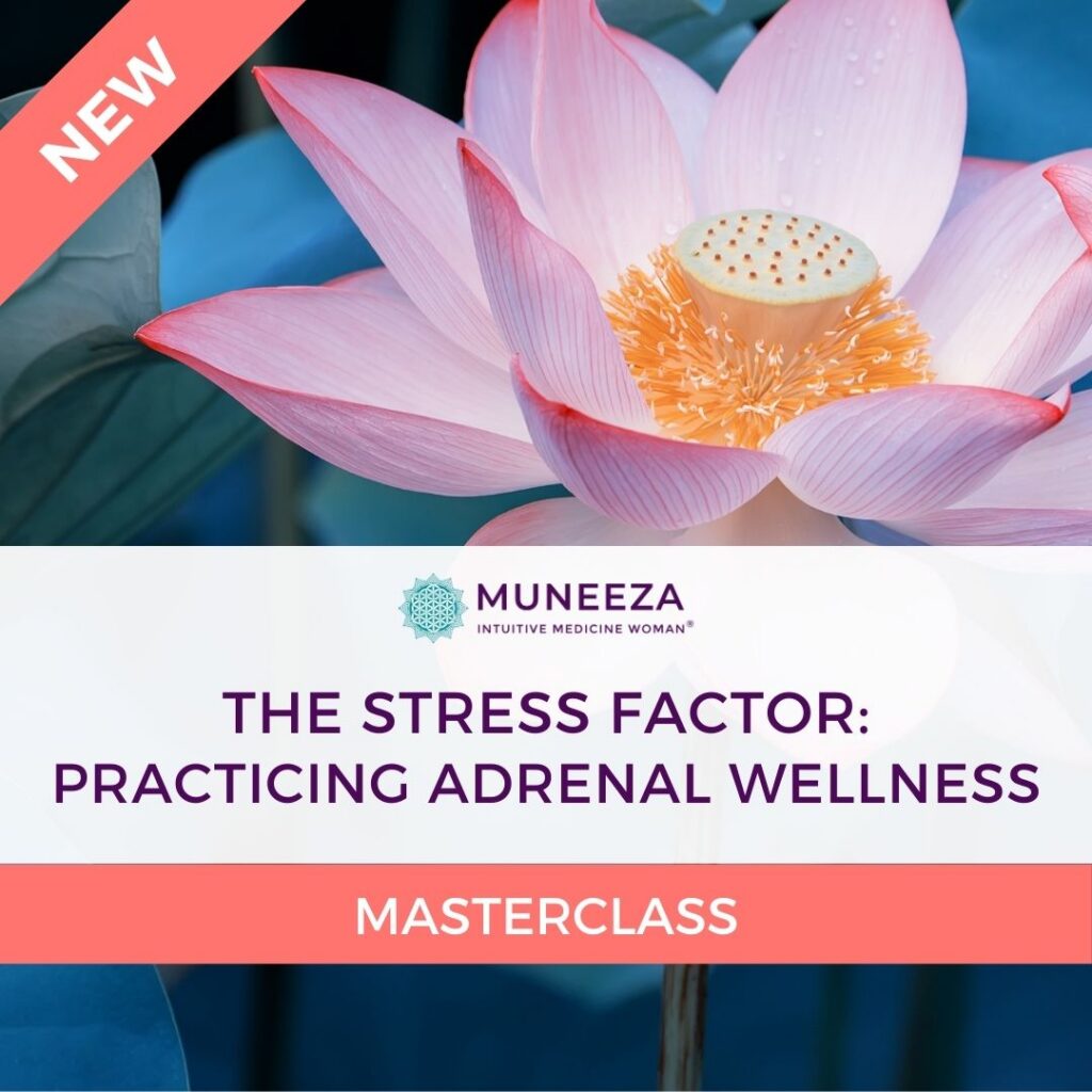 The Stress Factor Masterclass Featured Image with NEW banner