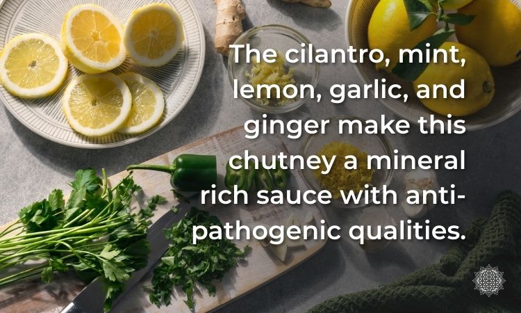 green mint chutney ingredients cilantro mint lemon garlic and ginger on a dark surface