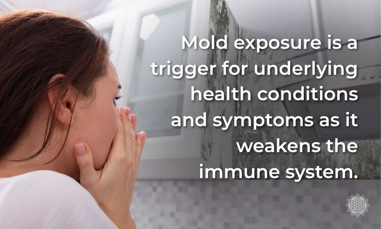 Adrenal Fatigue Recovery may be needed after mold exposure