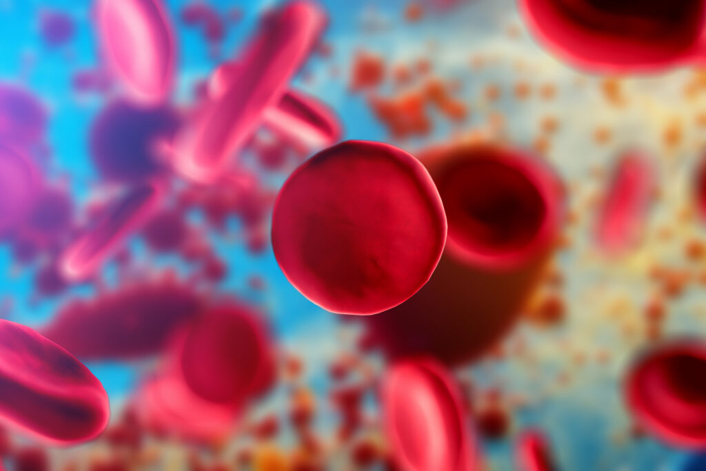 3d illustration of red blood cells erythrocytes close-up under a microscope in the body. Scientific medical background