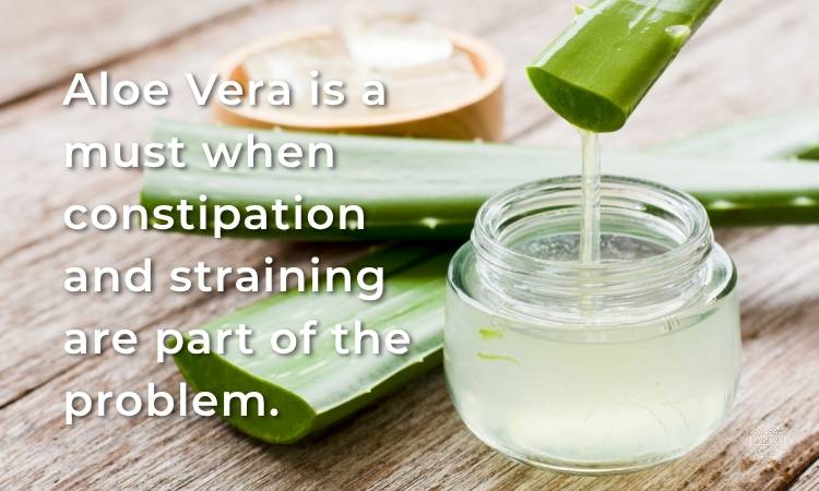 Aloe Vera is a must when constipation and straining are present