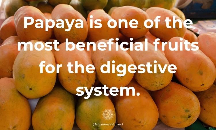 Papayas are very beneficial for the digestive system