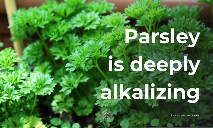 a bund of parsley deeply alkalizing