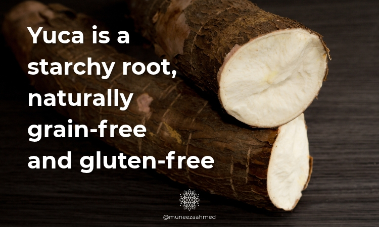 Yuca is the main ingredient in the air fried yuca chips recipe